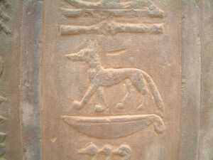 Greyhound hieroglyph, Kom Ombo