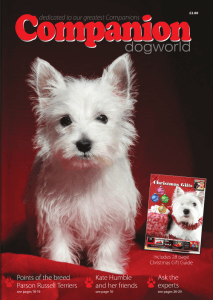Companion Dog World Xmas 2014