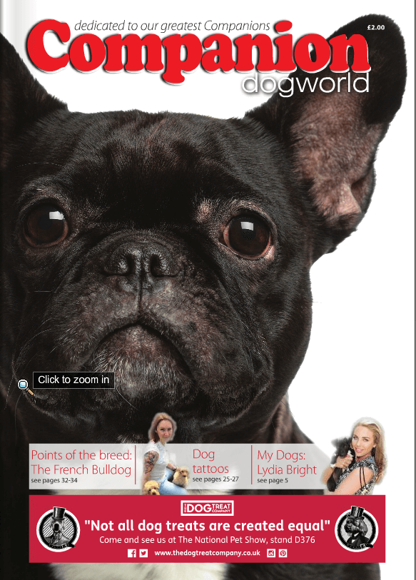 September 2015 Companion Dog World