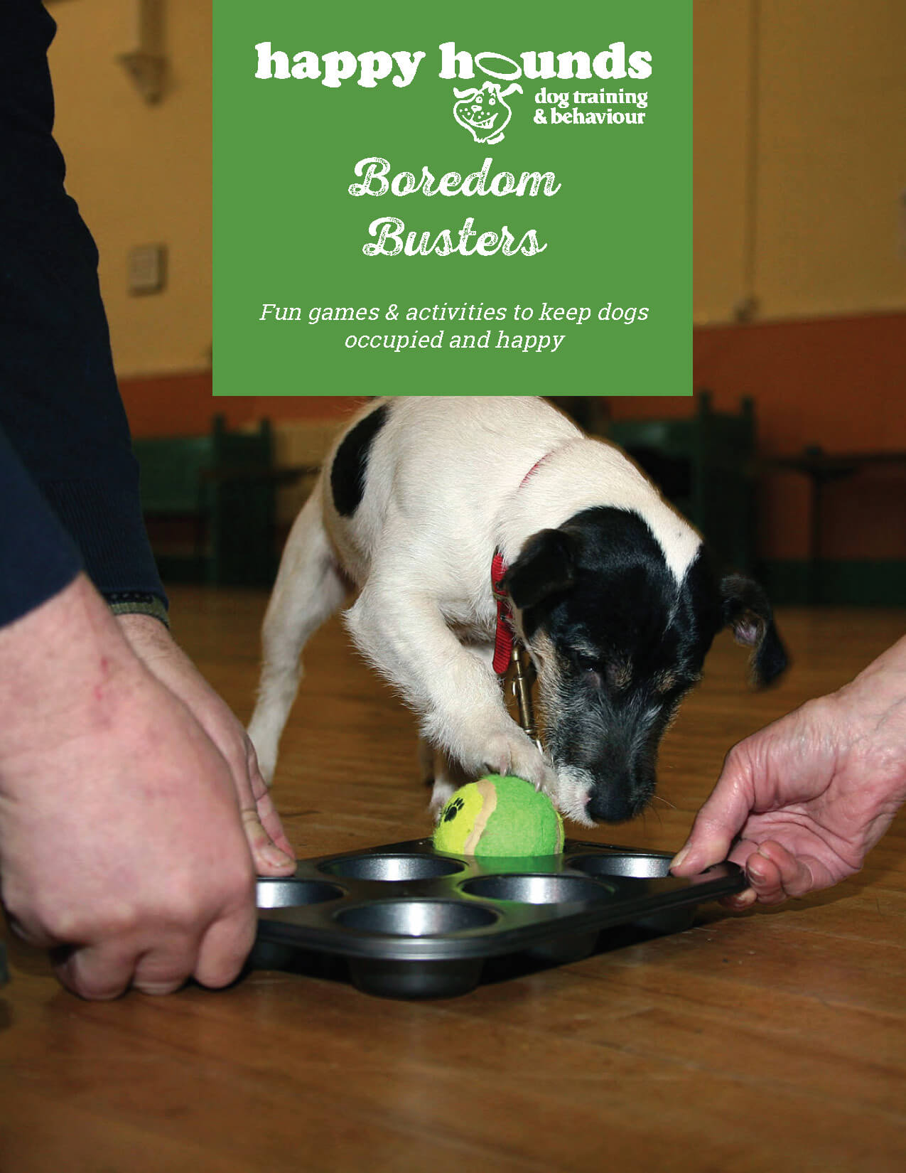 Boredom Busters  Fun & Inexpensive Games to Keep Dogs Occupied