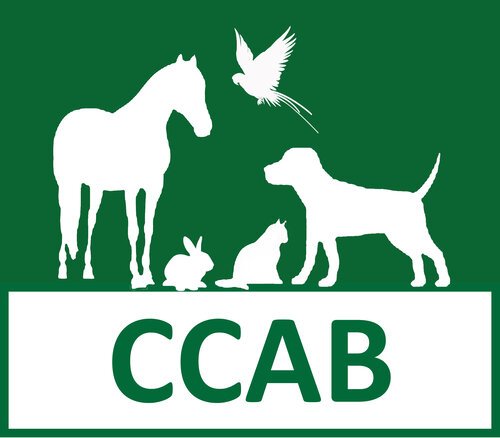 CCAB logo